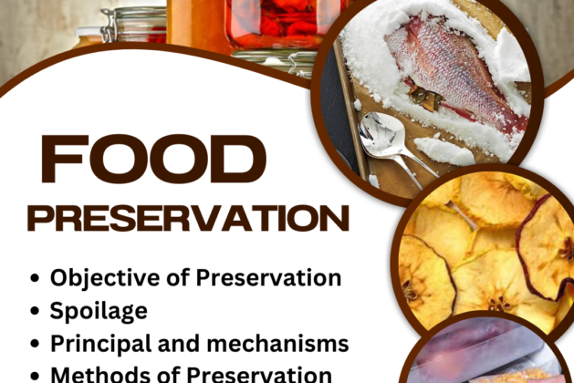 Introduction TO Food Preservation